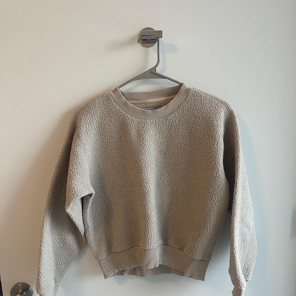 Everlane Tan Teddy Crew neck